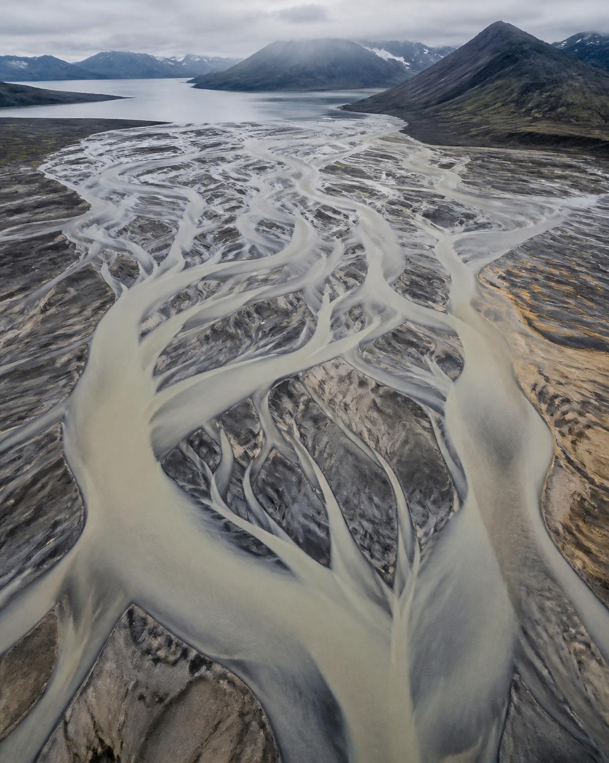 Aerial view of a braided glacial river delta cutting silt channels through grey sediment