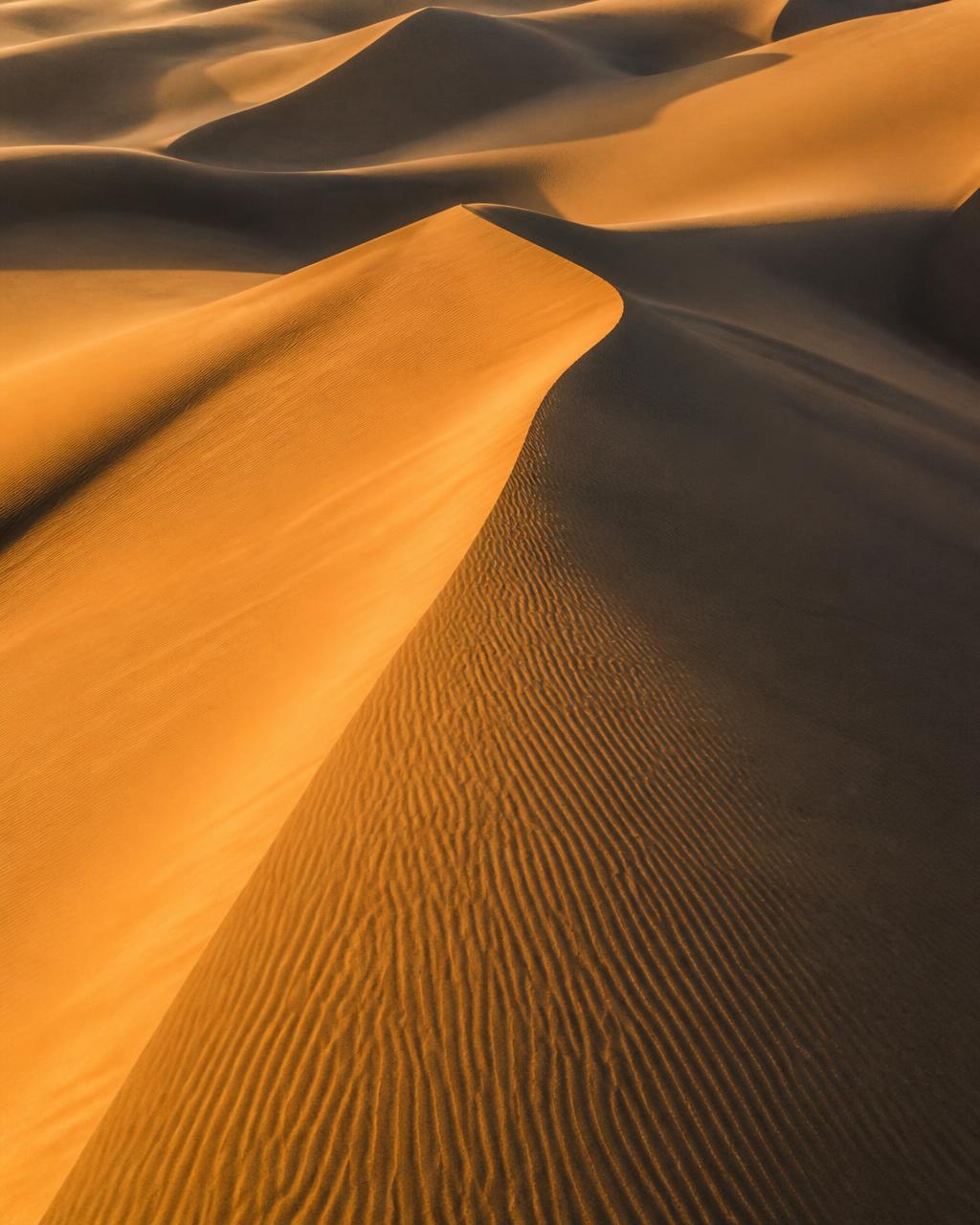 Aerial view of wind-sculpted sand dunes with sharp ridges in warm golden light