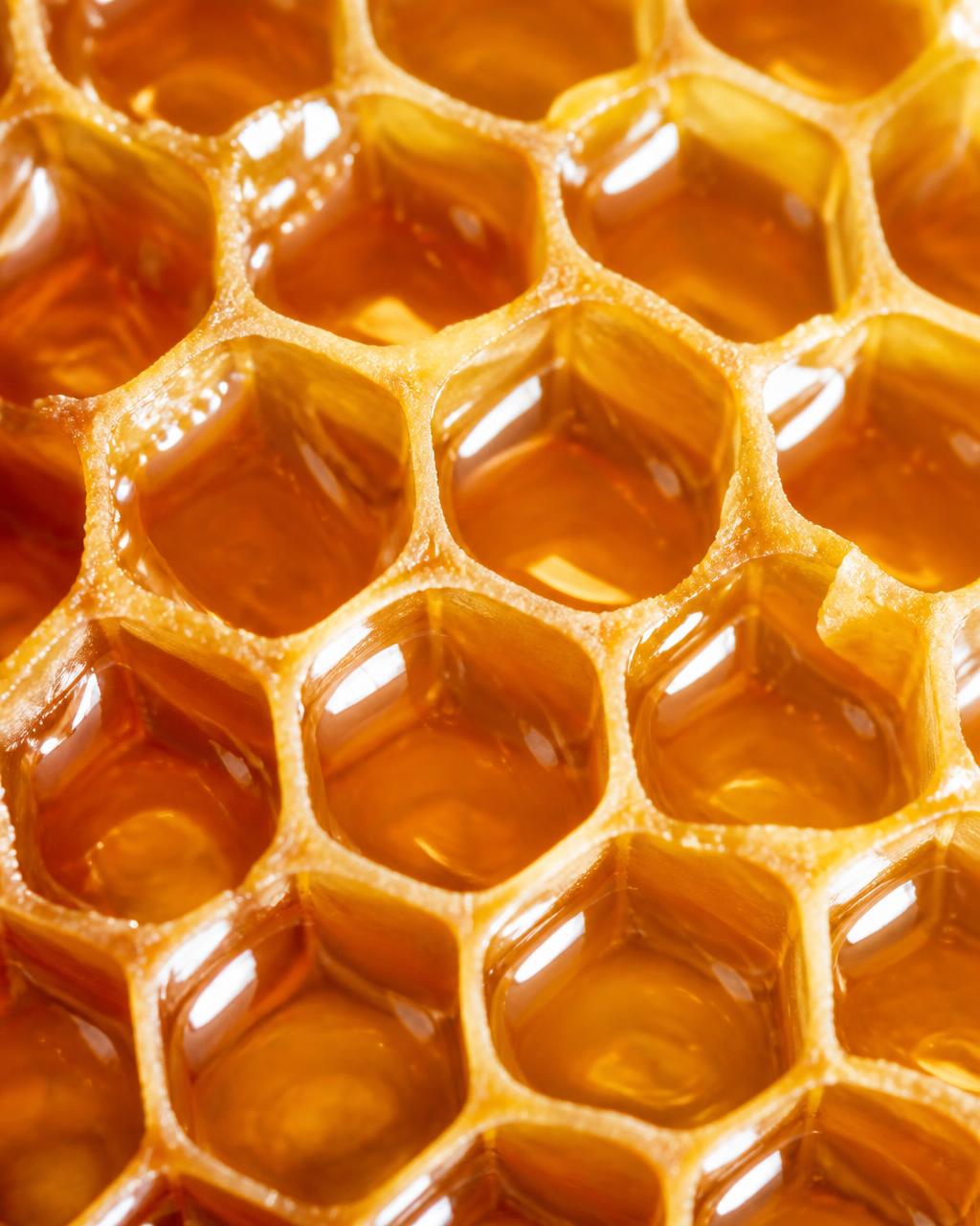 Extreme close-up of honeycomb cells filled with golden honey, hexagonal geometry