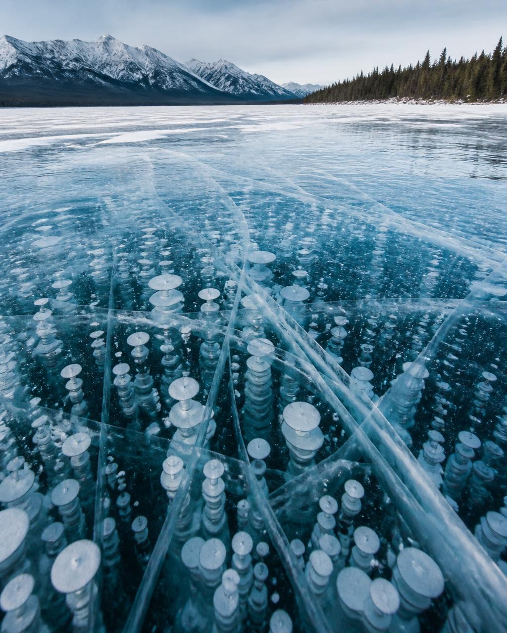 Frozen boreal lake with stacks of trapped methane bubbles suspended in clear blue ice